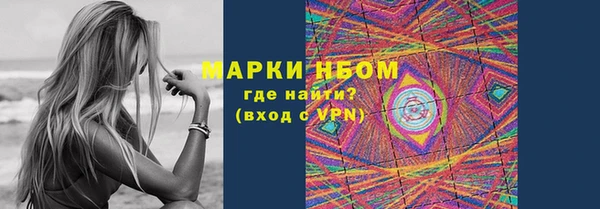 стаф Абаза
