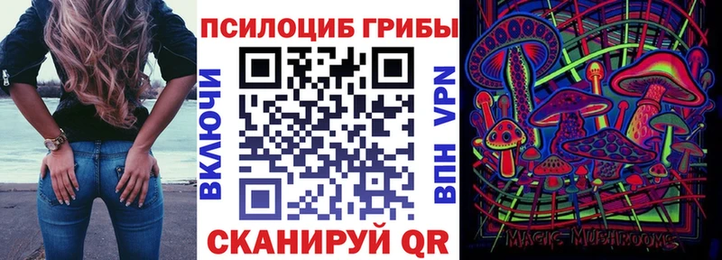 Псилоцибиновые грибы мухоморы  KRAKEN ссылка  Зеленогорск 